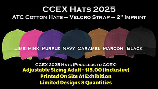 CCEx Hats